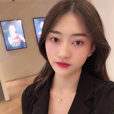 武动轮回诀bt版下载